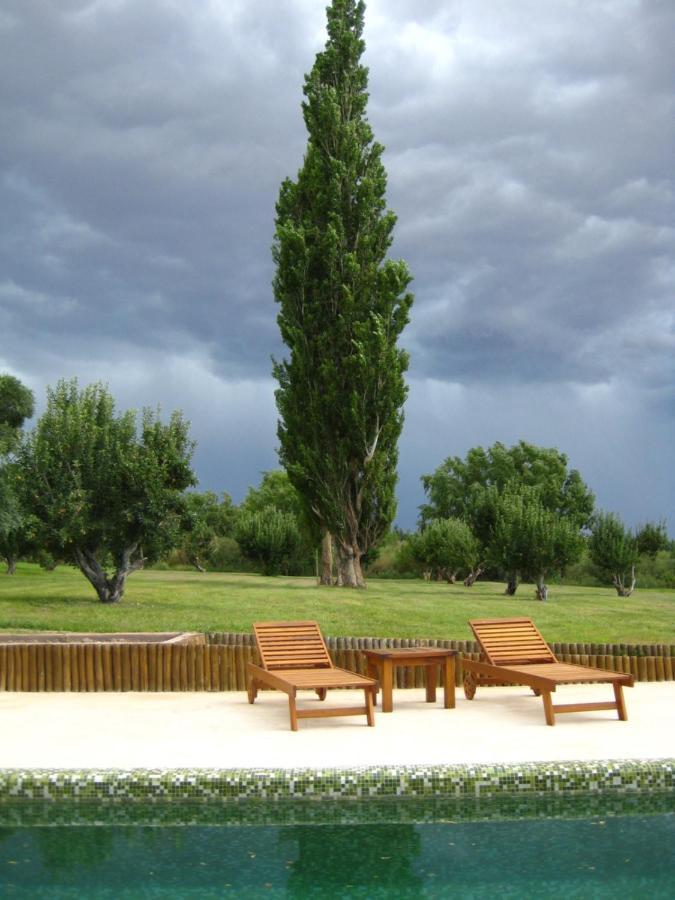 Finca Tierra Calma Casa 1 Barreal Buitenkant foto